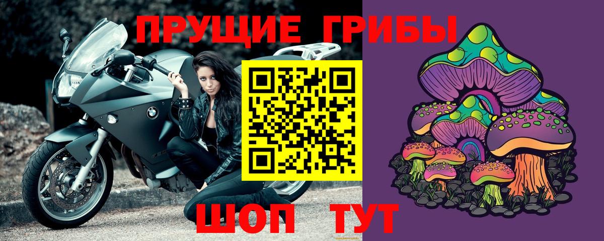 Псилоцибиновые грибы Cubensis Ессентуки