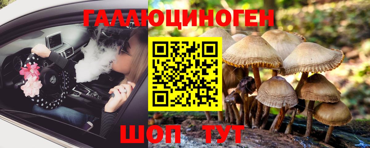 Галлюциногенные грибы Psilocybe  Вход с VPN  Ессентуки 