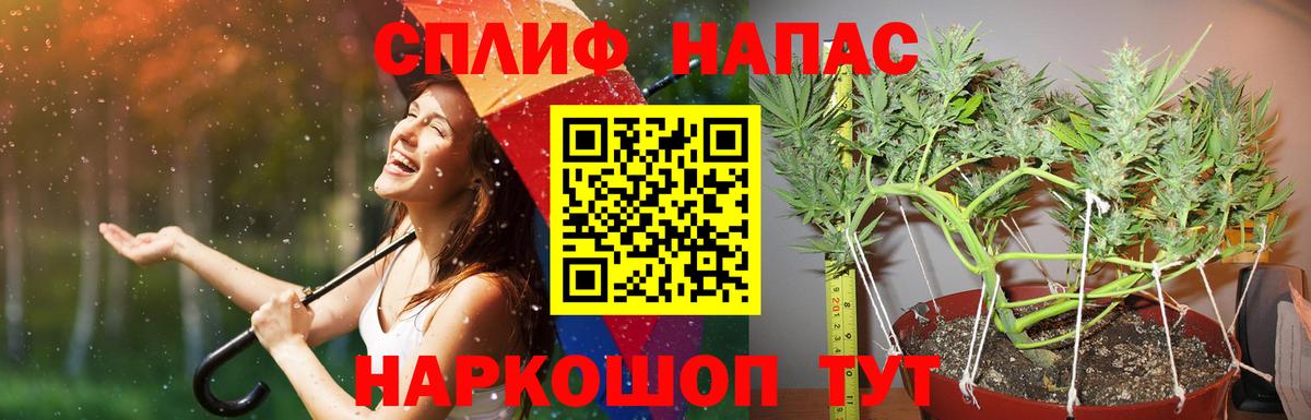 Шишки марихуана индика Ессентуки